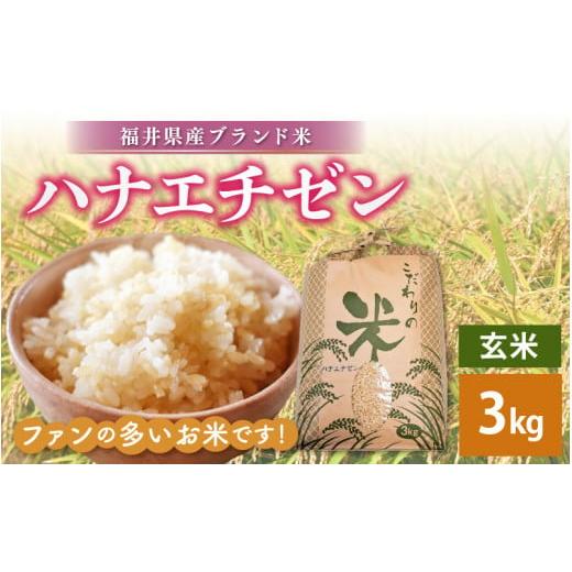 ふるさと納税 米 福井県 越前町 新米 令和7年産 ハナエチゼン 3kg 福井県産 玄米 お米 はなえちぜん 華越前 3キロ e30-a086