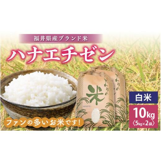 ふるさと納税 米 福井県 越前町 新米 令和7年産 ハナエチゼン 10kg 福井県産 白米 お米 こめ 米 コメ 精米 はなえちぜん 華越前 10キロ e30-b011