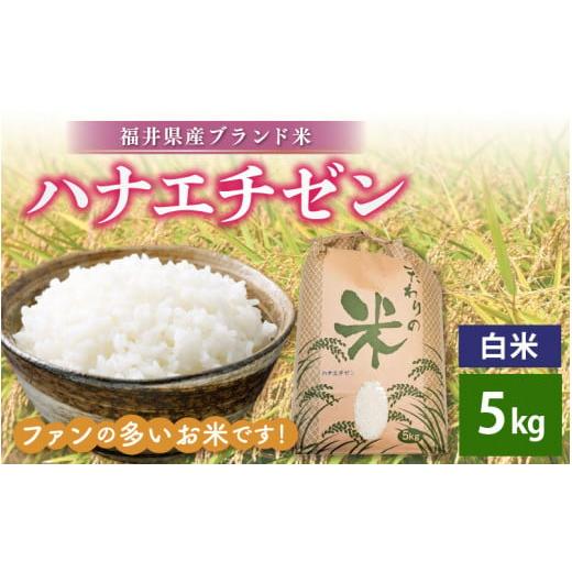 ふるさと納税 米 福井県 越前町 新米 令和7年産 ハナエチゼン 5kg 福井県産 白米 お米 こめ 米 コメ 精米 はなえちぜん 華越前 5キロ e30-a089