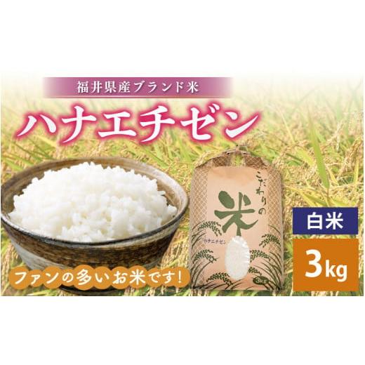 ふるさと納税 米 福井県 越前町 新米 令和7年産 ハナエチゼン 3kg 福井県産 白米 お米 こめ 米 コメ 精米 はなえちぜん 華越前 3キロ 少量 お試し e30-a087