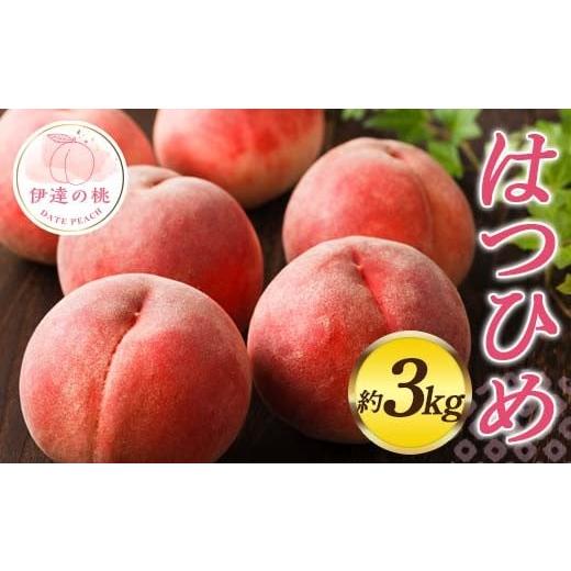 ふるさと納税 もも 福島県 伊達市 2026年出荷分先行予約 福島県産 はつひめ 約3kg (7〜11玉) 佐藤俊博 福島県オリジナル品種 伊達の桃 桃 フルーツ 果物 もも…