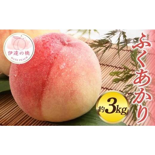 ふるさと納税 もも 福島県 伊達市 2026年出荷分先行予約 福島県産 ふくあかり 約3kg (7〜11玉) 佐藤俊博 福島県オリジナル品種 伊達の桃 桃 フルーツ 果物 も…