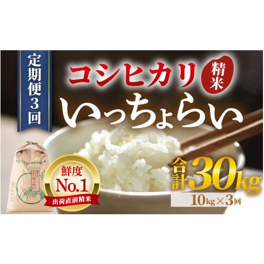 ふるさと納税 米 コシヒカリ 福井県 あわら市  先行予約 令和8年産・新米 一等米 《定期便3回》いっちょらい 精米 10kg × 3回（計30kg）／ 福井県産 ブランド…の画像