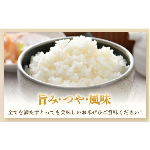 ふるさと納税 米 コシヒカリ 福井県 あわら市  先行予約 令和8年産・新米 一等米 《定期便3回》いっちょらい 精米 10kg × 3回（計30kg）／ 福井県産 ブランド…の画像