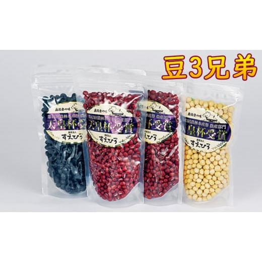 ふるさと納税 豆類 大豆 石川県 珠洲市   豆3兄弟