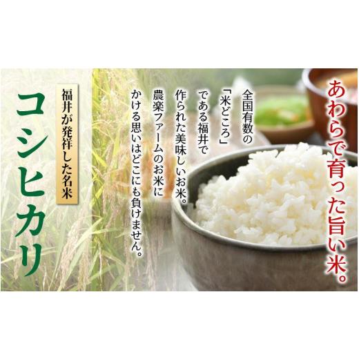 ふるさと納税 福井県 あわら市 【先行予約】【令和6年産新米】《定期便12回》いっちょらい 精米 10kg（計120kg） ／ 福井県産 ブランド米 コシヒカリ ご飯 白…｜furusatochoice｜05