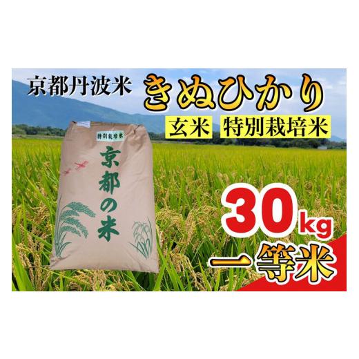 ふるさと納税 玄米 京都府 亀岡市 令和7年産 玄米 30kg 京都丹波米 きぬひかり《米 一等米 キヌヒカリ 特別栽培米 減農薬 玄米 玄米きぬひかり 玄米30kg 米き…