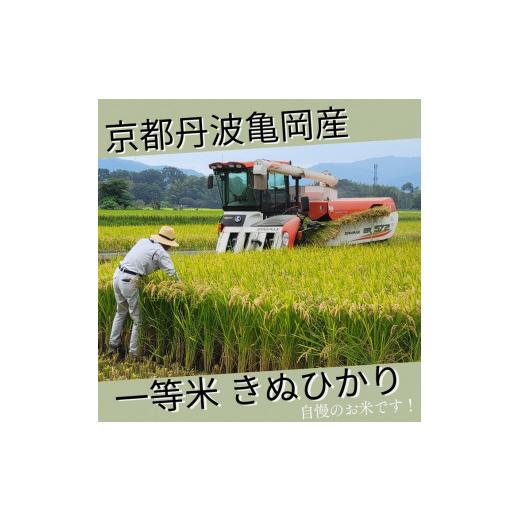 ふるさと納税 玄米 京都府 亀岡市 令和7年産 玄米 30kg 京都丹波米 きぬひかり《米 一等米 キヌヒカリ 特別栽培米 減農薬 玄米 玄米きぬひかり 玄米30kg 米き…