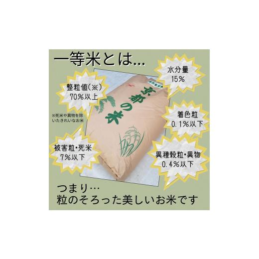 ふるさと納税 玄米 京都府 亀岡市 令和7年産 玄米 30kg 京都丹波米 きぬひかり《米 一等米 キヌヒカリ 特別栽培米 減農薬 玄米 玄米きぬひかり 玄米30kg 米き…