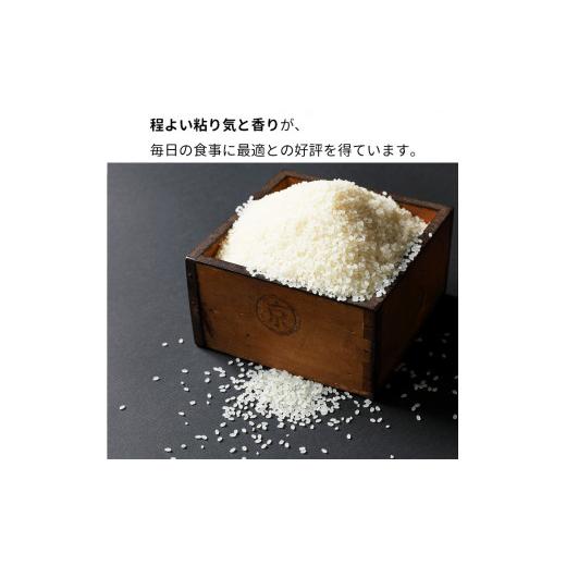 ふるさと納税 玄米 京都府 亀岡市 令和7年産 玄米 30kg 京都丹波米 きぬひかり《米 一等米 キヌヒカリ 特別栽培米 減農薬 玄米 玄米きぬひかり 玄米30kg 米き…