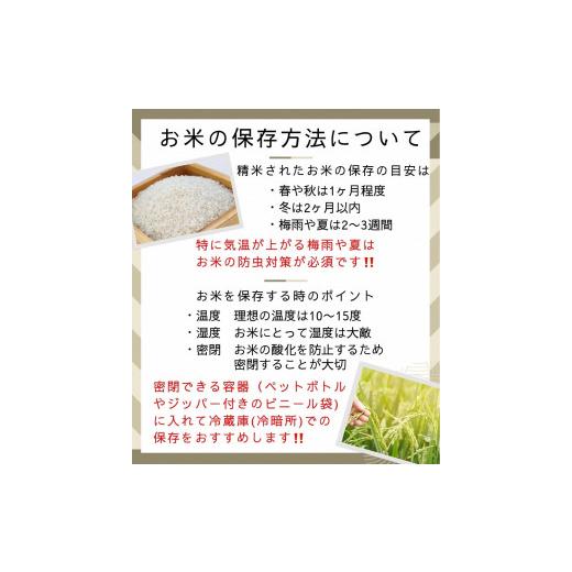 ふるさと納税 玄米 京都府 亀岡市 令和7年産 玄米 30kg 京都丹波米 きぬひかり《米 一等米 キヌヒカリ 特別栽培米 減農薬 玄米 玄米きぬひかり 玄米30kg 米き…