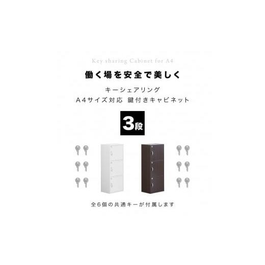 ふるさと納税 木工品・竹工品 和歌山県 海南市 A4ファイル収納 3段 扉＆カギ付きタイプ ダークブラウン aku100706502 ダークブラウン aku100706502の画像