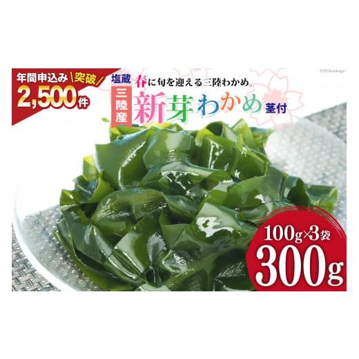 ふるさと納税 宮城県 気仙沼市 [漁師さんからのおすそわけ]新芽わかめ 400g(約100g×4袋) [かわむら家 宮城県 気仙沼市 20562778] わかめ ワカメ 若芽 海藻 …