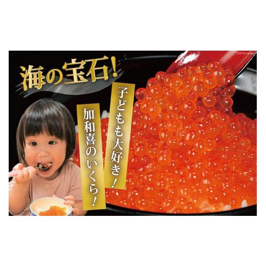 ふるさと納税 いくら 宮城県 気仙沼市 味付いくら 鱒卵 200g×2パック かわむら家 宮城県 気仙沼市 20564994 いくら 海鮮 魚介類 イクラ 醤油漬け 鱒 鱒いくらの画像