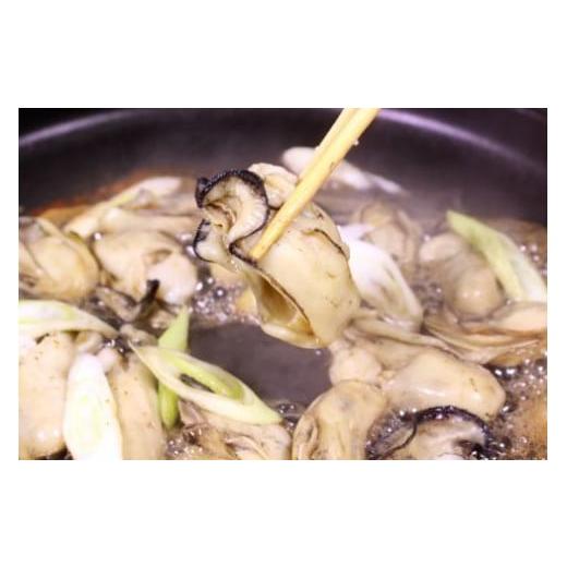 ふるさと納税 宮城県 気仙沼市 ＜先行受付＞ 三陸産 牡蠣 剥き身 1kg [さんりくみらい 宮城県 気仙沼市 20562491] 魚貝類 魚介類 カキ かき 冬 季節限定 期間… 宮城県 気仙沼市