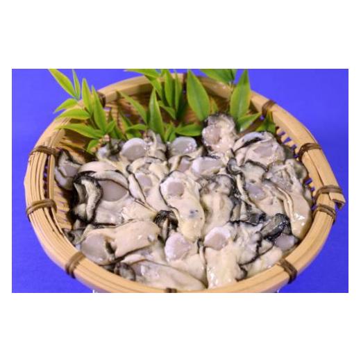 ふるさと納税 宮城県 気仙沼市 ＜先行受付＞ 三陸産 牡蠣 剥き身 1kg [さんりくみらい 宮城県 気仙沼市 20562491] 魚貝類 魚介類 カキ かき 冬 季節限定 期間… 宮城県 気仙沼市