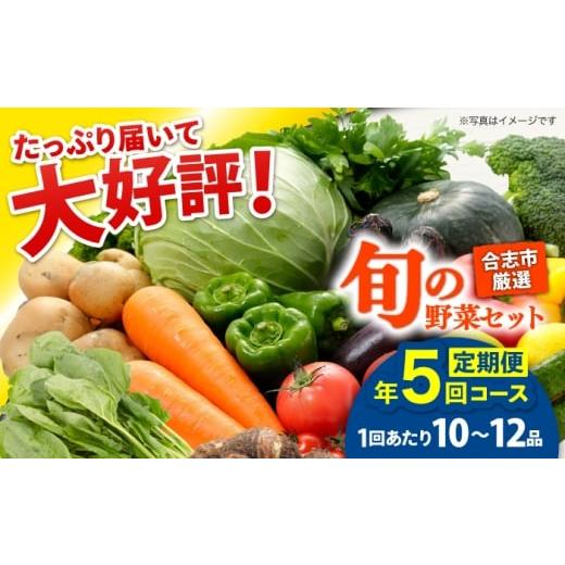 ふるさと納税 セット・詰合せ 熊本県 合志市 年5回コース定期便 合志の旬のお野菜10〜12品目 一般社団法人クラッシーノこうし 野菜 旬 季節 詰合せ 国産 合志…