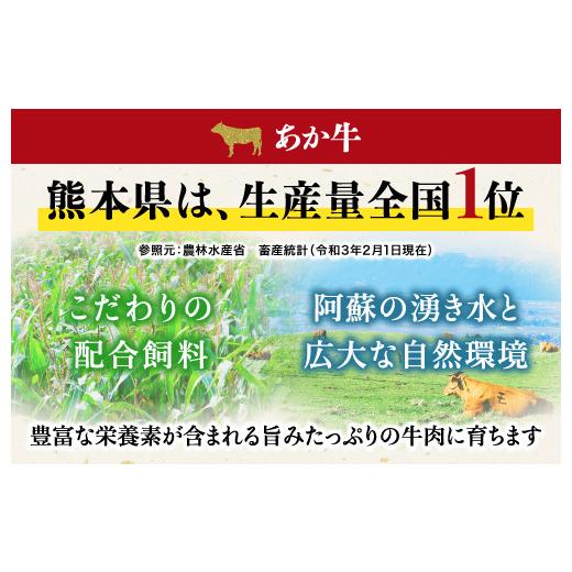 ふるさと納税 熊本県 宇城市 【熊本県産】 あか牛 を堪能できる ステーキ と ハンバーグ セット モモステーキ 250g×2枚 ハンバーグ 150g×10個 計2kg｜furusatochoice｜07