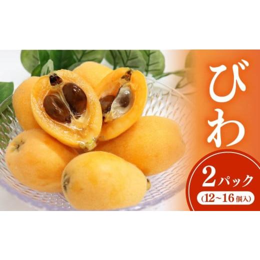 ふるさと納税 果物類 びわ 高知県 室戸市 黒耳びわ 12〜16玉 大粒 枇杷 ビワ フルーツ 果物 母の日 旬 果実 期間限定 初夏 季節 高知 贈答