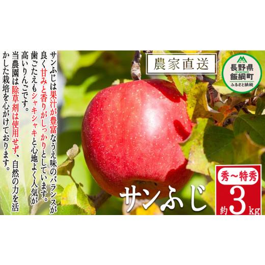 ふるさと納税 りんご 長野県 飯綱町 りんご サンふじ 秀 〜 特秀 3kg 松澤農園 沖縄県への配送不可 2025年11月下旬頃から2026年2月上旬頃まで順次発送予定 令…