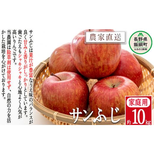 ふるさと納税 りんご 長野県 飯綱町 りんご サンふじ 贅沢な 家庭用 10kg 松澤農園 2025年11月下旬頃から2026年2月下旬頃まで順次発送予定 令和7年度収穫分 長…