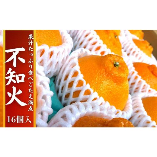 ふるさと納税 果物類 みかん 大分県 宇佐市 先行予約受付中 2026年4月中旬以降順次発送予定 不知火(16個・約4kg)みかん 蜜柑 フルーツ 果物 くだもの 柑橘 し…