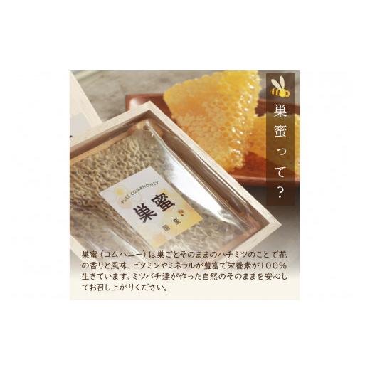 ふるさと納税 加工品等 はちみつ 京都府 京丹後市  国産 ハチミツ 京丹後産巣蜜（200ｇ）KYOTOTANGOHONEY森の百花蜜 純粋非加熱天然ハチミツの巣みつ 蜂蜜・は…の画像