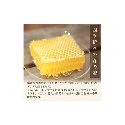 ふるさと納税 加工品等 はちみつ 京都府 京丹後市  国産 ハチミツ 京丹後産巣蜜（200ｇ）KYOTOTANGOHONEY森の百花蜜 純粋非加熱天然ハチミツの巣みつ 蜂蜜・は…の画像