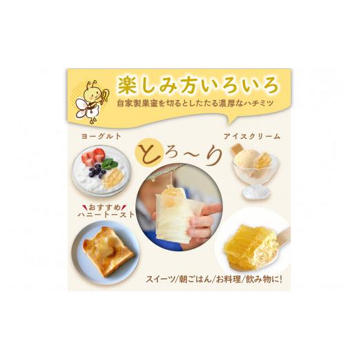 ふるさと納税 加工品等 はちみつ 京都府 京丹後市  国産 ハチミツ 京丹後産巣蜜（200ｇ）KYOTOTANGOHONEY森の百花蜜 純粋非加熱天然ハチミツの巣みつ 蜂蜜・は…の画像