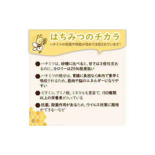 ふるさと納税 加工品等 はちみつ 京都府 京丹後市  国産 ハチミツ 京丹後産巣蜜（200ｇ）KYOTOTANGOHONEY森の百花蜜 純粋非加熱天然ハチミツの巣みつ 蜂蜜・は…の画像