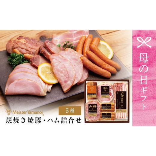 ふるさと納税 肉 ハム 鹿児島県 南さつま市 母の日ギフト マイスター山野井 炭焼き焼豚とハムの詰め合わせ(5種) チャーシュー 焼き豚 ロースハム 燻製荒び…