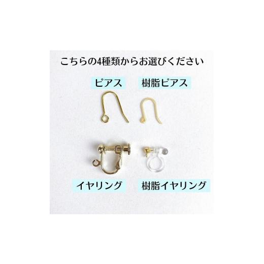 ふるさと納税 アクセサリー 鹿児島県 屋久島町 屋久杉×1月誕生石　樹脂イヤリング 樹脂イヤリング_5