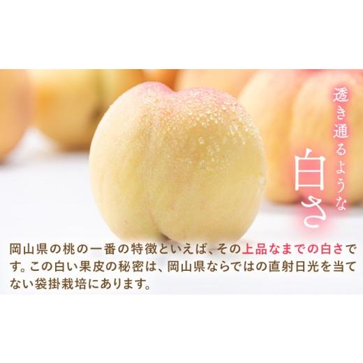 ふるさと納税 もも 岡山県 矢掛町  2026年発送先行予約 桃 ランキング入賞 岡山の桃 約1.3kg(4〜8玉)《2026年6月下旬-9月上旬頃出荷》 岡山県 矢掛町 桃 もも …の画像