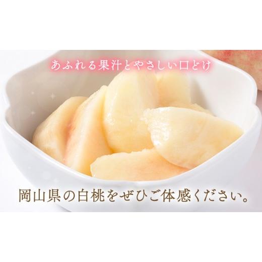 ふるさと納税 もも 岡山県 矢掛町  2026年発送先行予約 桃 ランキング入賞 岡山の桃 約1.3kg(4〜8玉)《2026年6月下旬-9月上旬頃出荷》 岡山県 矢掛町 桃 もも …の画像