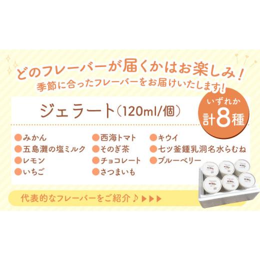 ふるさと納税 アイス・ヨーグルト ジェラート 長崎県 西海市  年中人気 3回定期便 おまかせジェラート 8個 みかんドーム CAI031 ジェラート アイスクリーム じ…_3