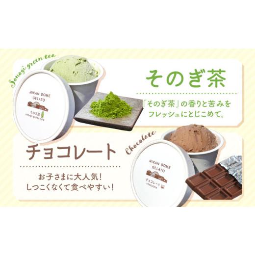 ふるさと納税 アイス・ヨーグルト ジェラート 長崎県 西海市  年中人気 3回定期便 おまかせジェラート 8個 みかんドーム CAI031 ジェラート アイスクリーム じ…_6