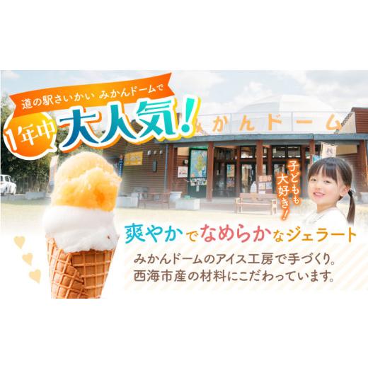 ふるさと納税 アイス・ヨーグルト ジェラート 長崎県 西海市  年中人気 3回定期便 おまかせジェラート 8個 みかんドーム CAI031 ジェラート アイスクリーム じ…_7