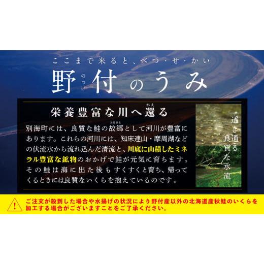 ふるさと納税 いくら 北海道 別海町  NR塩いくら 本場 北海道 産 塩イクラ 250g NK000NR00 （野付漁業協同組合）（ふるさと納税 いくら イクラ 塩漬け いくら&hellip;