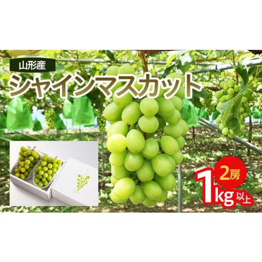 ふるさと納税 ぶどう マスカット 山形県 山形市 山形市産 シャインマスカット 秀 1kg以上(2房) 前半 令和8年産先行予約 FU22-083 くだもの 果物 フルーツ 山…