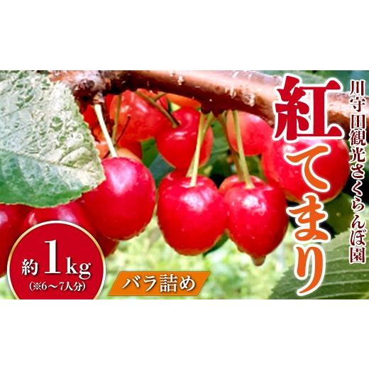 ふるさと納税 果物類 さくらんぼ 青森県 南部町 さくらんぼ 「紅てまり」 バラ (約1kg) 6〜7人分 川守田観光さくらんぼ園 フルーツ王国 南部町 サクランボ チ…
