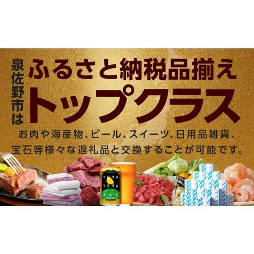 ふるさと納税 ポイント 大阪府 泉佐野市 有効期限なし あとから選べる