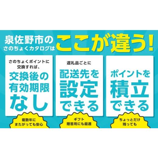 ふるさと納税 ポイント 大阪府 泉佐野市 有効期限なし あとから選べる