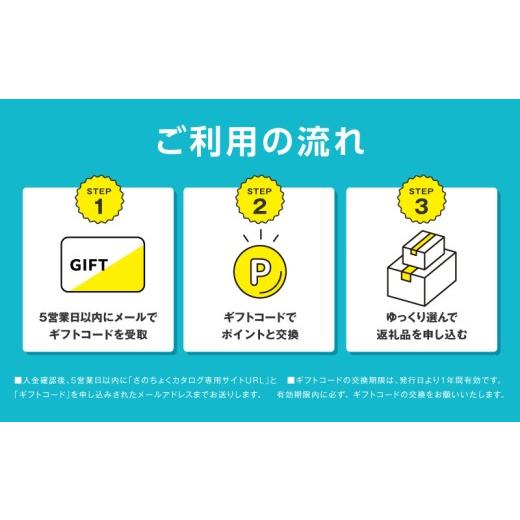 ふるさと納税 ポイント 大阪府 泉佐野市 有効期限なし あとから選べる