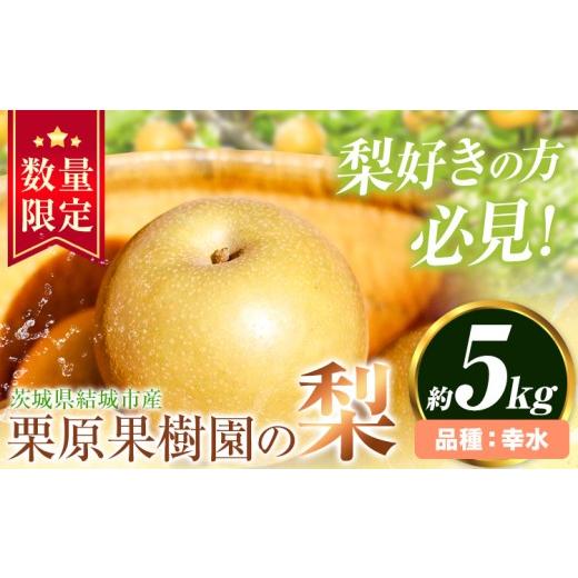ふるさと納税 梨 茨城県 結城市 先行予約 栗原果樹園 梨 5kg 幸水 [8月上旬-8月下旬頃出荷予定]茨城県 結城市 なし 梨 フルーツ 旬 果物 配送不可地域あり …