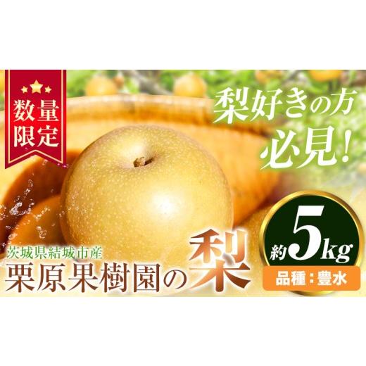 ふるさと納税 梨 茨城県 結城市 先行予約 栗原果樹園 梨 5kg 豊水 [8月下旬-9月中旬頃出荷予定]茨城県 結城市 なし 梨 フルーツ 旬 果物 配送不可地域あり …