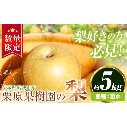 ふるさと納税 梨 茨城県 結城市 先行予約 栗原果樹園 梨 5kg 恵水 [9月上旬-9月下旬頃出荷予定]茨城県 結城市 なし 梨 フルーツ 旬 果物 配送不可地域あり …