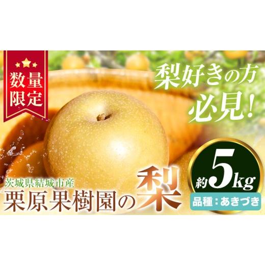 ふるさと納税 梨 茨城県 結城市 先行予約 栗原果樹園 梨 5kg あきづき [9月上旬-9月下旬頃出荷予定]茨城県 結城市 なし 梨 フルーツ 旬 果物 配送不可地域…