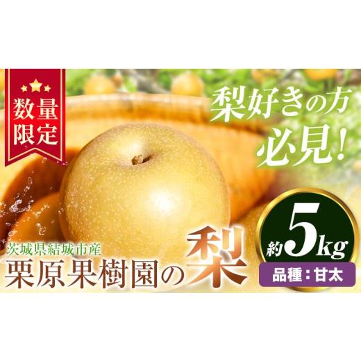 ふるさと納税 梨 茨城県 結城市 先行予約 栗原果樹園 梨 5kg 甘太 [9月上旬-9月下旬頃出荷予定]茨城県 結城市 なし 梨 フルーツ 旬 果物 配送不可地域あり …