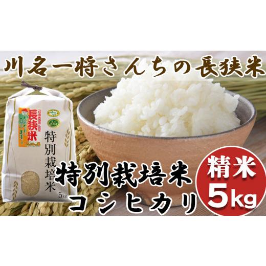 ふるさと納税 米 コシヒカリ 千葉県 鴨川市 千葉県知事賞受賞 川名一将さんちの長狭米 特別栽培米コシヒカリ5kg 精米 0016-0027 川名一将さんちの長狭米 特別…