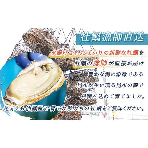 ふるさと納税 北海道 釧路町 北海道 仙鳳趾名産 牡蠣 100g〜149g×35コ かき漁師直送 K5-2＜センポウシ : 釧路町の東 厚岸湾の西 カキの名産地＞ 牡蠣 刺身 冷…｜furusatochoice｜04